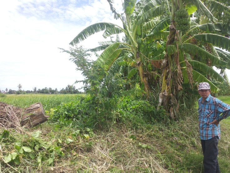 Elke dag checkt ons trotse boertje of er al iets geoogst kan worden
