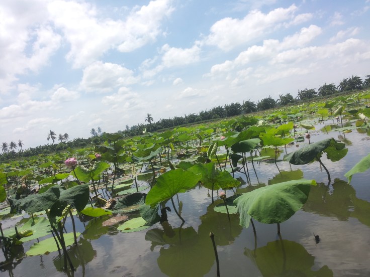 20140723_131514_Android