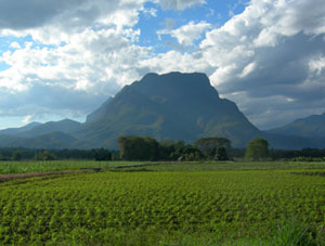 May I present to you ; Doi Chian Dao mountain