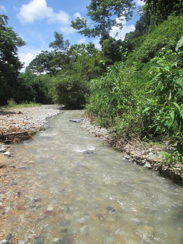 We volgden voor een twintigtal minuten dit stromend beekje, welke ons tot een grot leidde