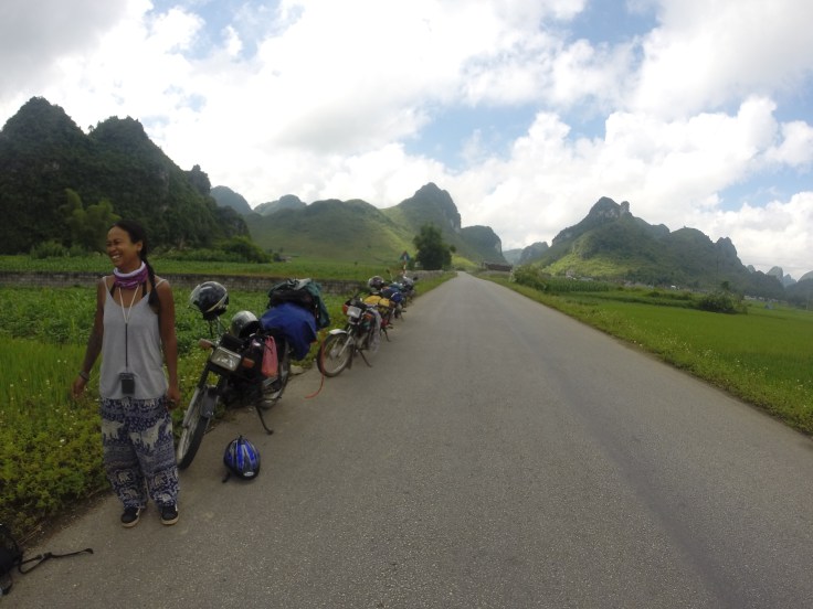 En onze kleurrijke Hondaatjes