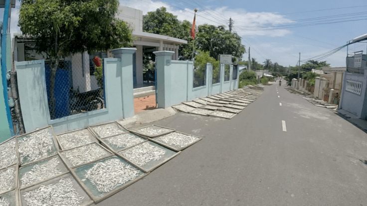 Vis op 't droge drogen