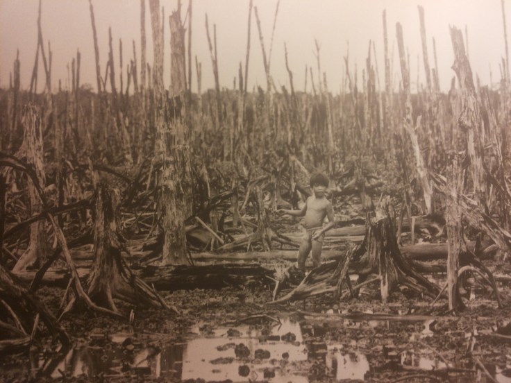 De directe gevolgen van Agent Orange